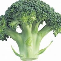 920-brokolice.jpg