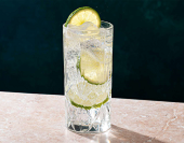 255-gin-and-tonic-recipe-759300-hero-01-aa12e6504f944c54b8b9c589cc1d0ac6.png